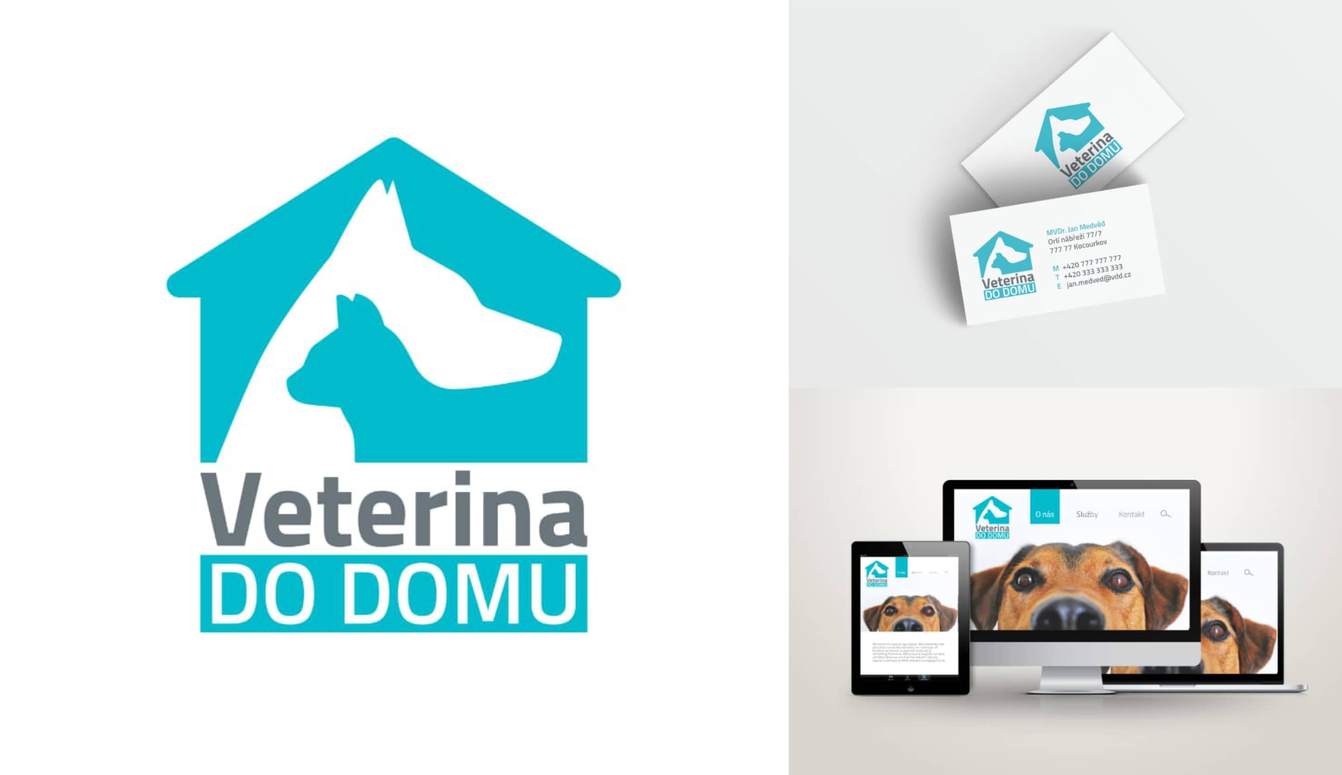 Branding Veterinari I Amplio Studio